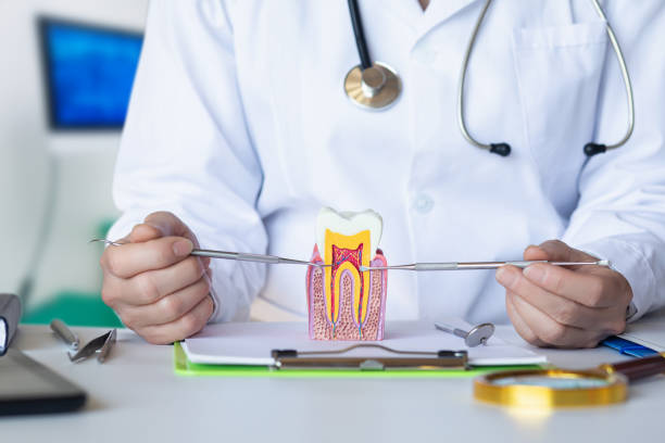 Best Pediatric Emergency Dentist in Palestine, TX